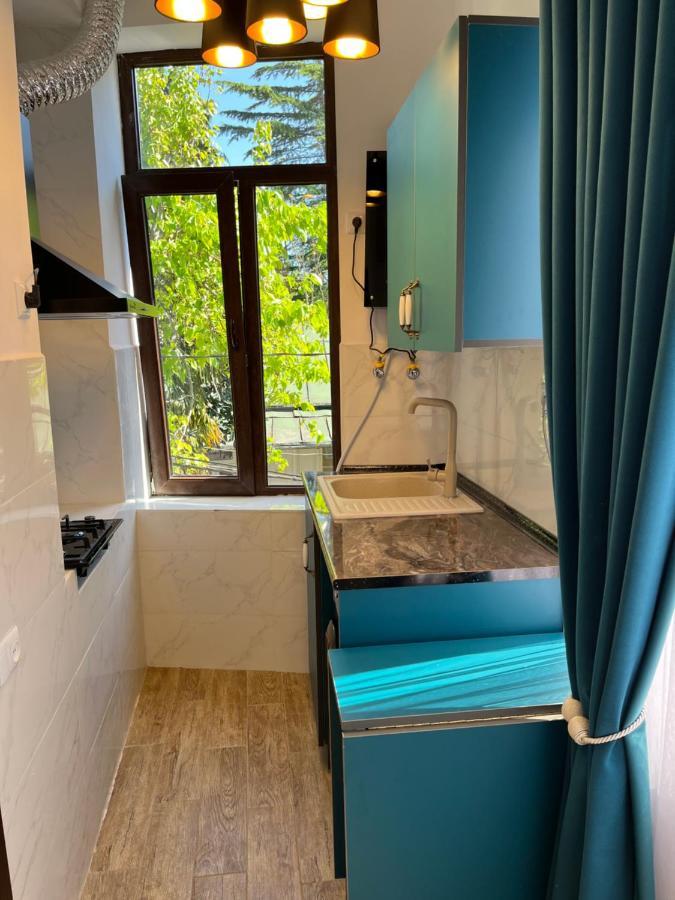 Guest House Mtani Near Colchis Fountain Кутаїсі Екстер'єр фото